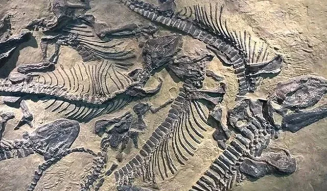 Tayland’da yeni dinozor türü keşfedildi