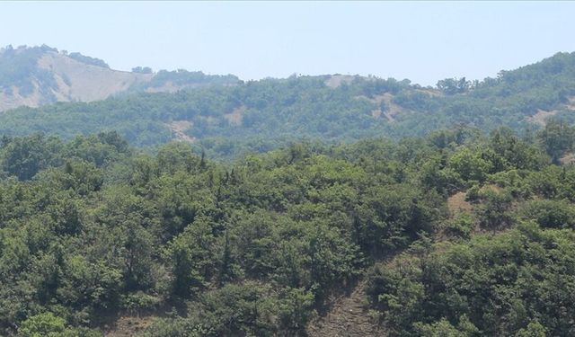 Ankara Valiliği duyurdu: Ormanlık alanlara giriş yasaklandı