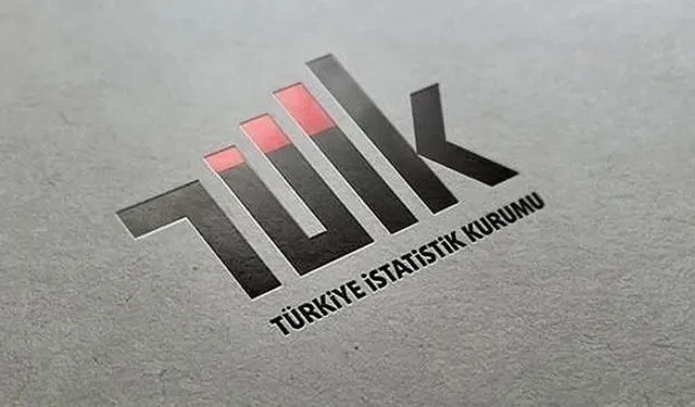 TÜİK açıkladı: Vatandaşın güvenlik önlemleri belli oldu