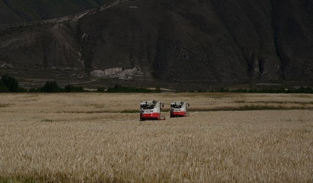 Çin'in doğu-batı işbirliği 5 milyon kişiye istihdam sağladı