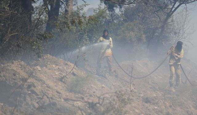 Çanakkale'de orman yangını: Alevlerle mücadele devam ediyor