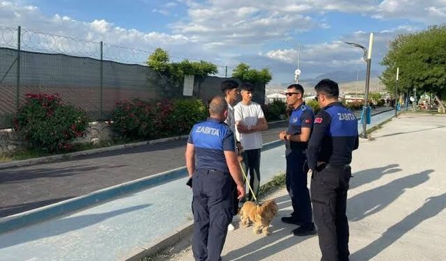 Van’da kuduz alarmı! Mahalle karantinaya alındı