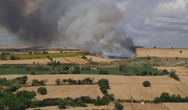 Tekirdağ'da 100 dekar buğday ekili alan kül oldu