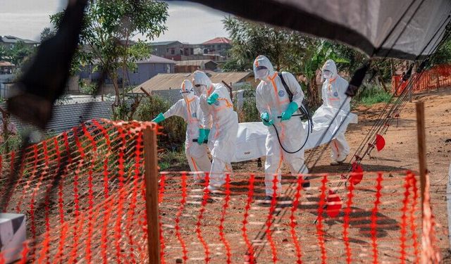 Ebola Kongo'da yayılıyor: Vaka sayısı 1155'e ulaştı