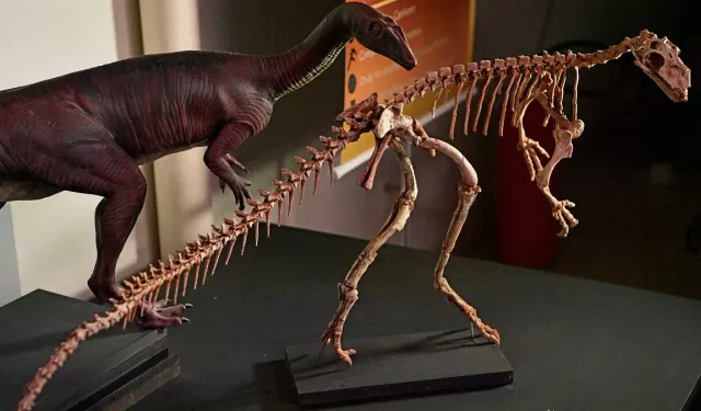 210 milyon yıllık yeni dinozor türü keşfedildi