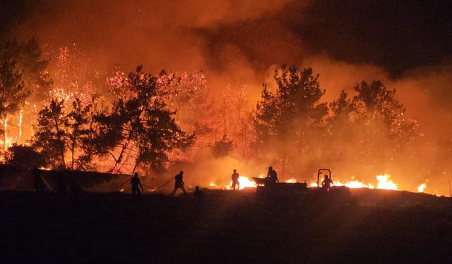 Muğla, Çanakkale ve Antalya'daki orman yangınlarda son durum ne?