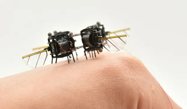 Böcek gibi uçan robot geliştirildi