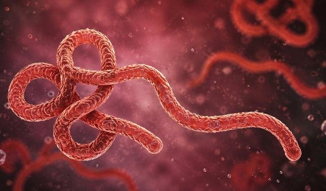 Kongo Demokratik Cumhuriyeti’nde Ebola salgınında vaka sayısı 1700’ü aştı