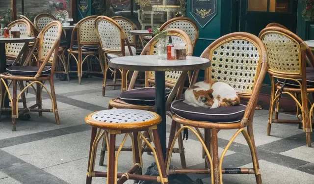 Restoran ve kafelerde bir dönem bitiyor: Teras ve bahçeler de dahil edilecek!