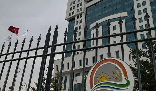 Bakanlıktan çekirge istilası iddialarına yanıt
