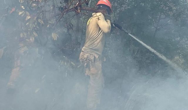 Kaş'ta çıkan orman yangını kontrol altına alındı