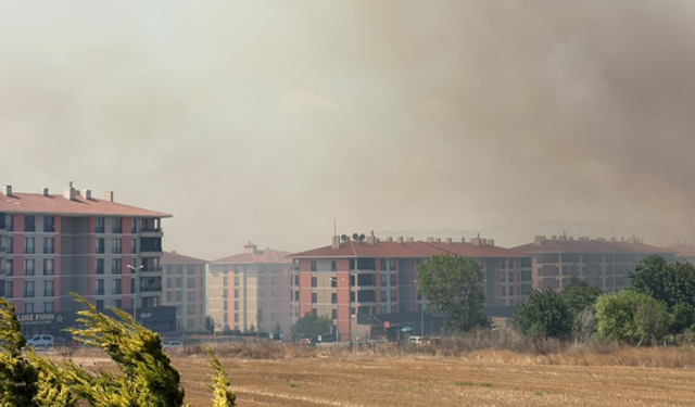 Silivri'de yangın: TEM otoyolu kapatıldı, evler tahliye edildi