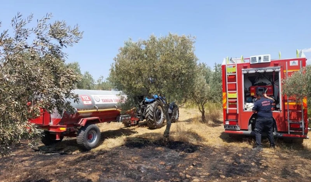 Muğla’da yangınların yüzde 69’u insan kaynaklı