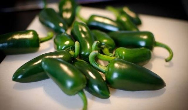ABD'de salmonella alarmı: Jalapeno biberlerinden yüzlerce kişi hastalandı