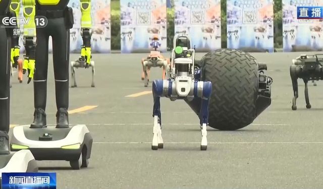 CMG’in etkinliğinde 300'den fazla robot izleyicilerle buluşacak