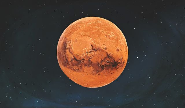 Mars'ta yaşam için umut: Hayatta kalabilecek bitki keşfedildi