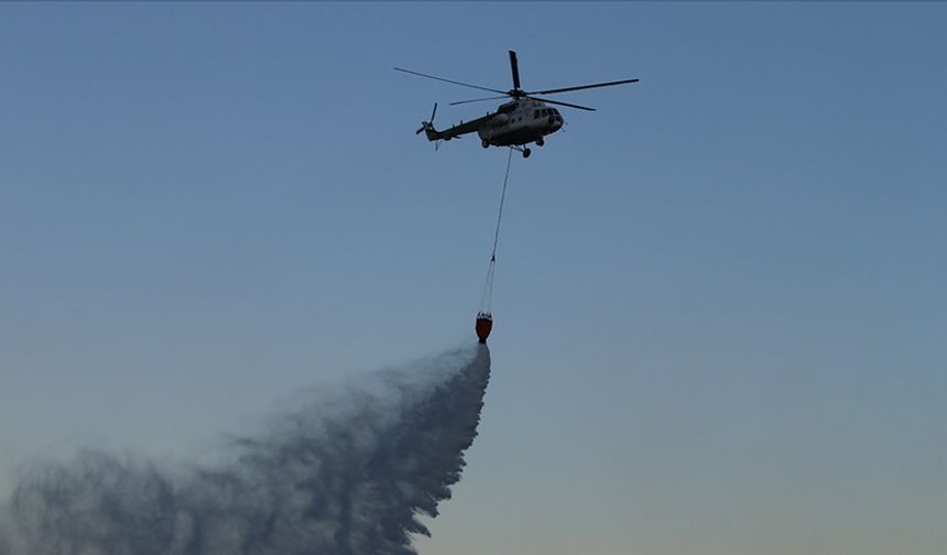 İzmir Dikili'de orman yangını