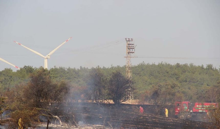 Çanakkale'de tarım arazisinde çıkan yangın kontrol altında