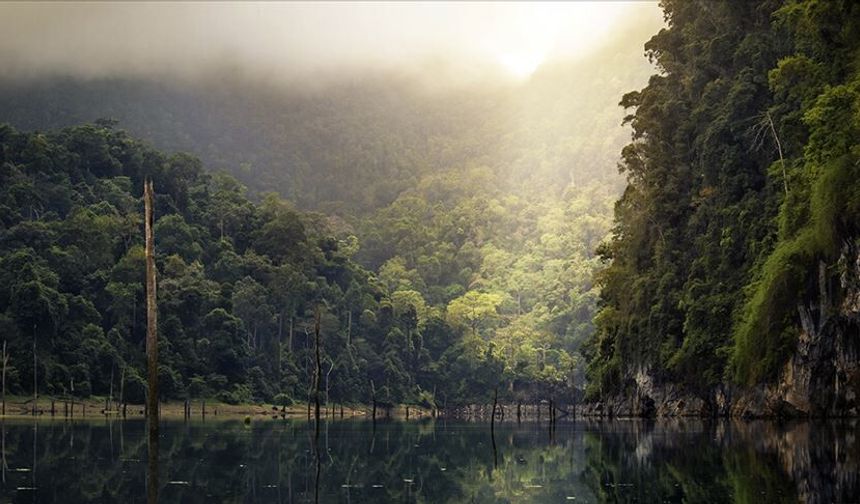 Amazon’daki tahribat salgın riskini artırıyor