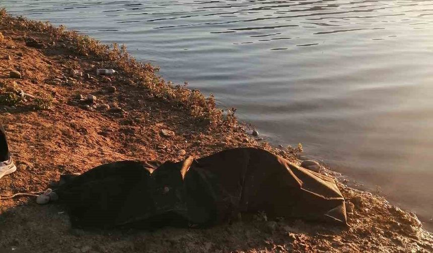 Balık tutmaya gittiği yerde aracıyla göle düşen şahıs hayatını kaybetti