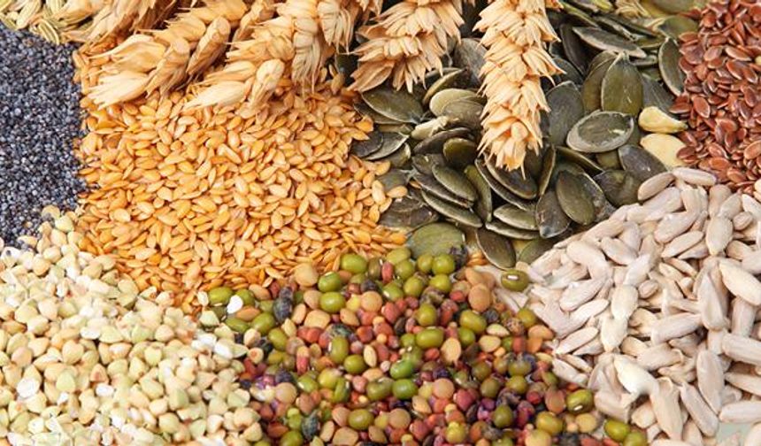 Lifli yiyeceklerin rolü nasıl?

Lifli yiyecekler de zor sindirilir ve sindirim sırasında fazla enerji harcanmasını sağlar. Böylelikle bazal metabolizma hızlandırma yollarından biri olur. Bu sayede metabolizma hızlandırıcı besinler arasına girmeyi başarır. 