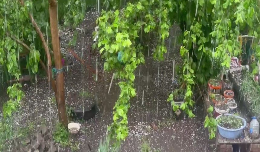 Artvin'de dolu; tarım arazileri zarar gördü