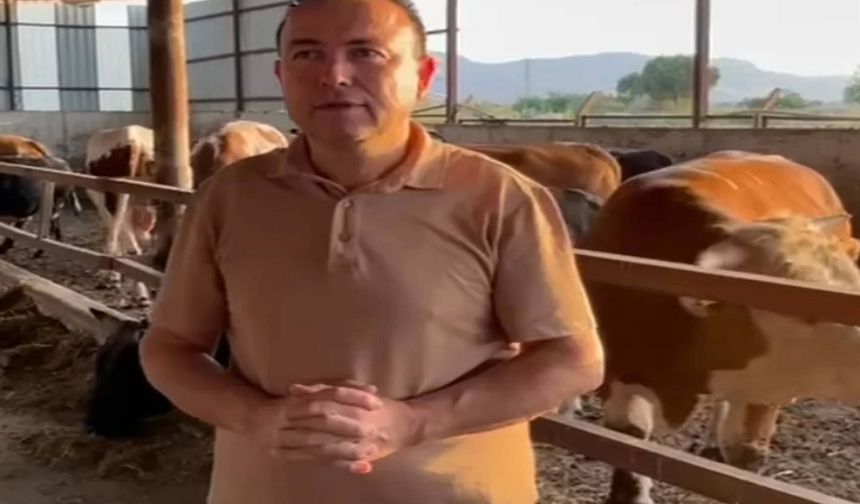 Dananın saldırısına uğrayan iş insanı, 3 gün sonra hayatını kaybetti