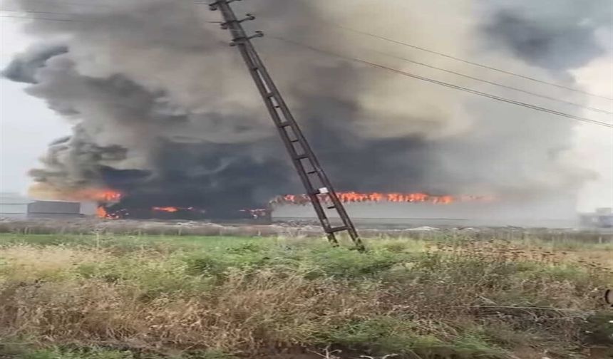 Mersin'de pamuk deposunda yangın