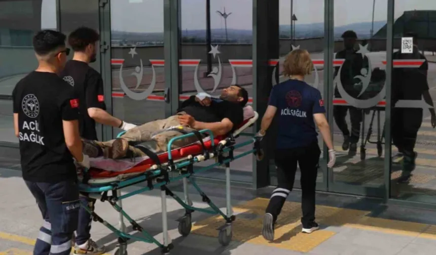 İstanbul'da Kurban kesimi nedeniyle 776 kişi yaralandı