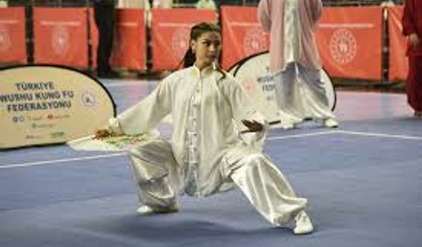 Türkiye ve Çin arasında "Wushu Kung Fu" görüşmesi