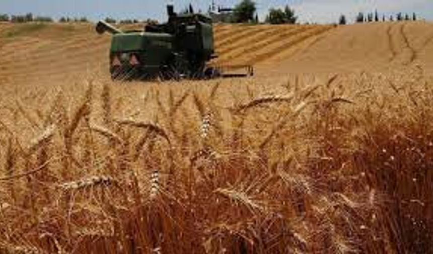 2025 yılı hububat alım fiyatları belli oldu