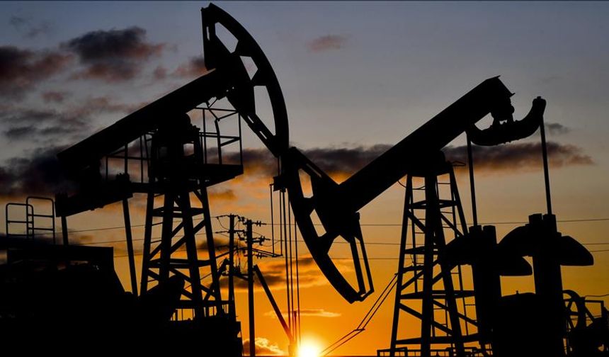 Nijerya'da 27 kaçak petrol arıtma tesisi kapatıldı
