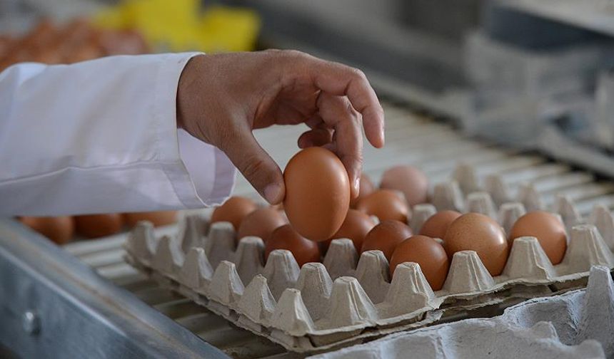 Mayıs ayında fiyatı en çok artan ve azalan ürünler belli oldu