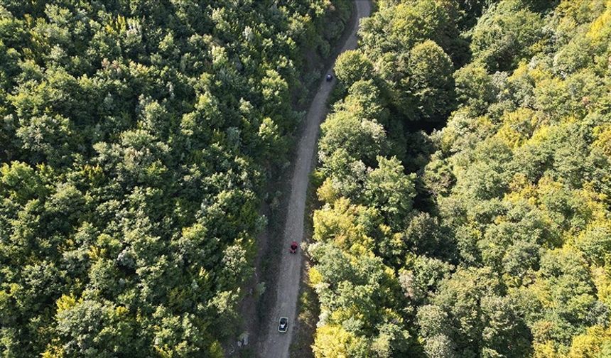 Tekirdağ'da ormanlık alanlara girişler yasaklandı