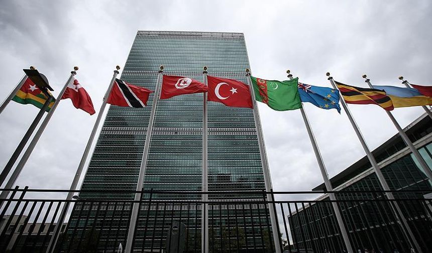 Türkiye, BM Ekonomik ve Sosyal Konseyi üyeliğine seçildi
