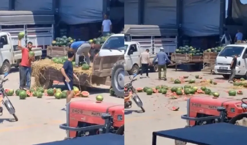 Onlarca karpuzu paramparça etmişlerdi: Çiftçilere jet soruşturma!