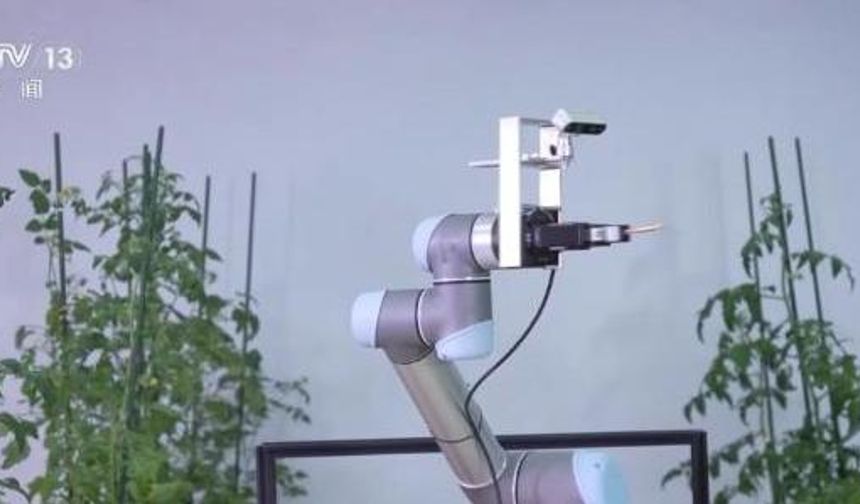 Çin, 'Geair' adlı tohum robotunu tanıttı
