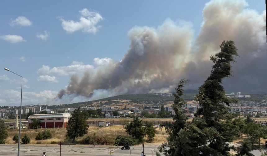 Çanakkale'de orman yangını: Boğaz trafiğe kapatıldı!