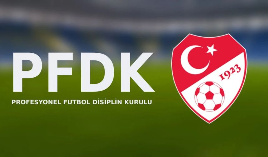 PFDK’dan Mert Hakan’a 3, Caner Erkin’e 5 maç ceza