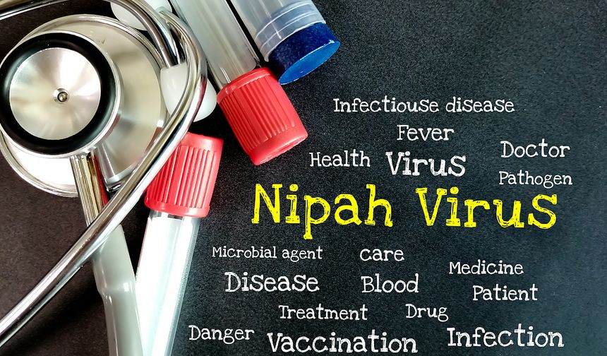 Çin'de Nipah virüsü vakası tespit edilmedi
