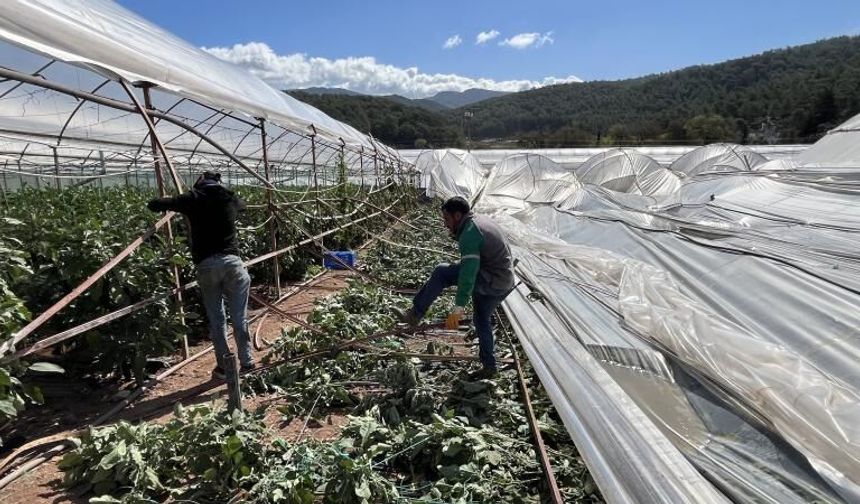 Antalya'da hortum seralarda hasara neden oldu