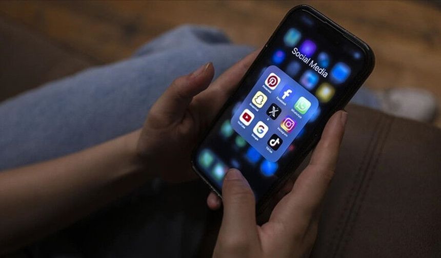 Sosyal medya mezatları maliyenin radarında