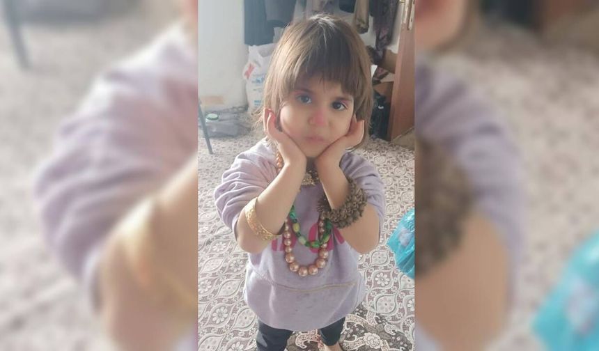 Bitlis’te 4 Yaşındaki Rabia’dan haber alınamıyor