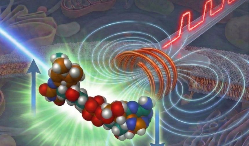 Moleküllerin “görünmeyen” halleri ortaya çıkarıldı