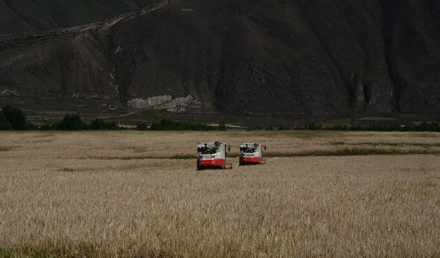 Çin'in doğu-batı işbirliği 5 milyon kişiye istihdam sağladı