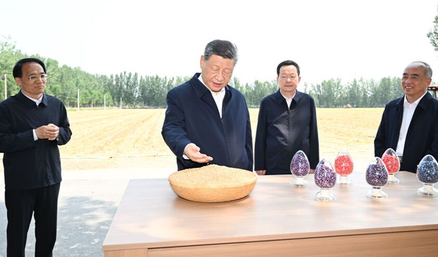 Xi Jinping’den kırsal kalkınma vurgusu: Modernleşmenin temeli tarımdır
