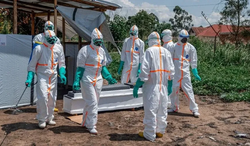 Nijerya'da ilk Ebola virüsü vakası tespit edildi